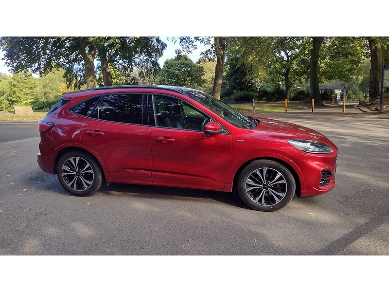 Ford Kuga EcoBlue ST-Line X Edition - U6453