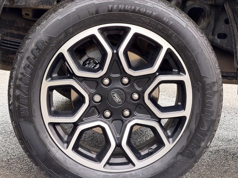 2.0 TD EcoBlue Wildtrak Pickup Double Cab 4dr Diesel Auto 4WD Euro 6 (s/s) (205 ps)