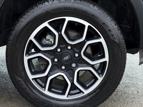 2.0 TD EcoBlue Wildtrak Pickup Double Cab 4dr Diesel Auto 4WD Euro 6 (s/s) (205 ps)