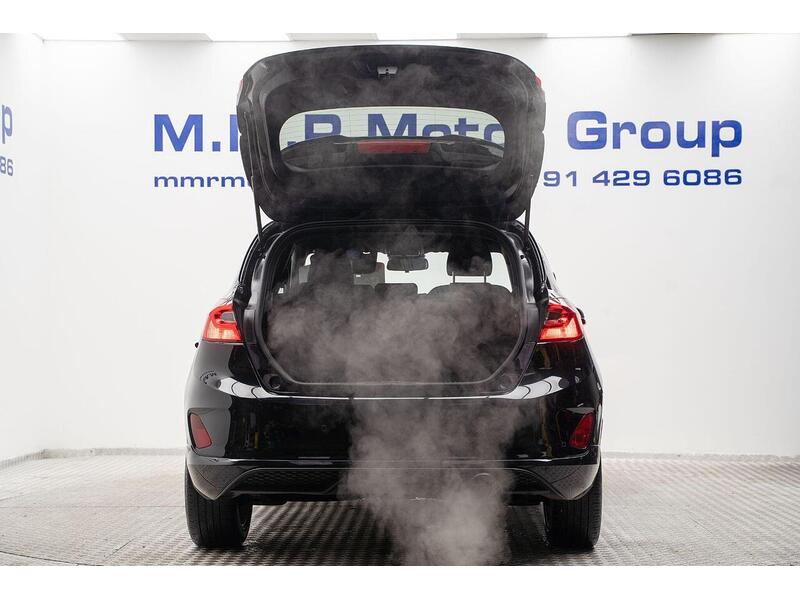 Ford Fiesta 1.0T EcoBoost ST-Line Euro 6 (s/s) 5dr - U1139