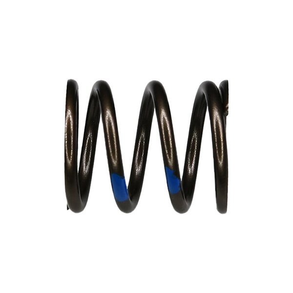 Valve Spring Outer, Pack of 12 Image 1