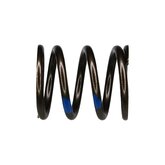Valve Spring Outer, Pack of 12 Image 1