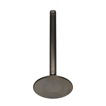 Exhaust Valve 4.0ltr