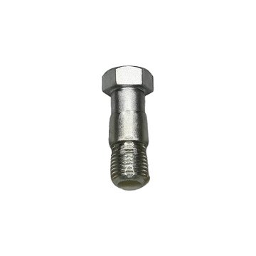 Caliper Bolt