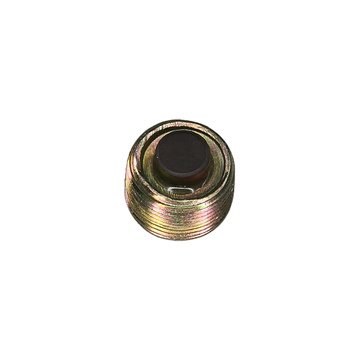 Gearbox Filler Plug, Magnetic