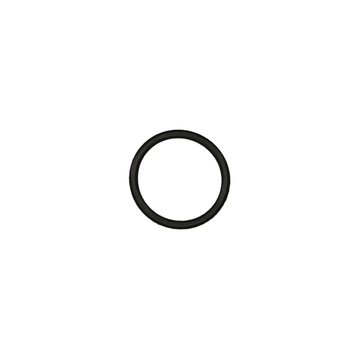O Ring Seal