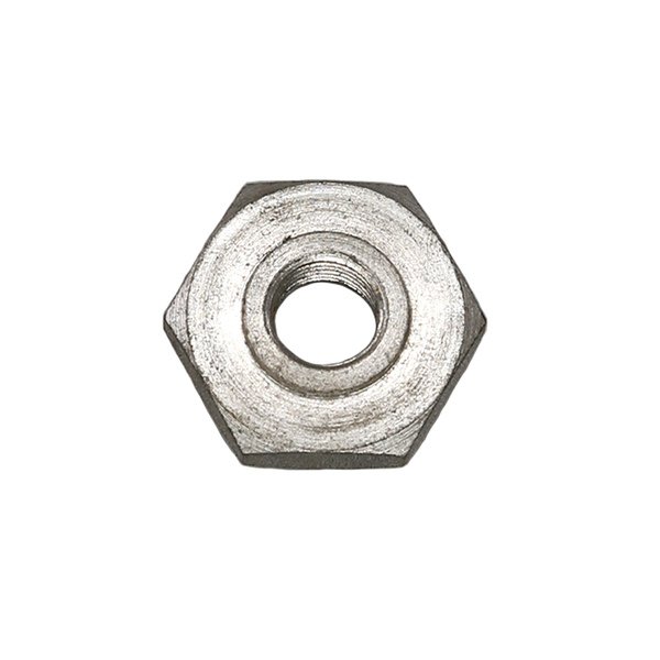Nut Image 1