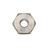 Nut Image 2