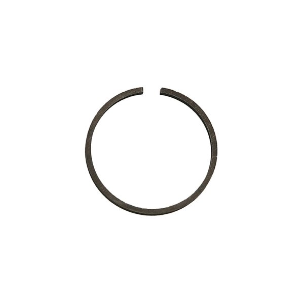 Seal Image 2