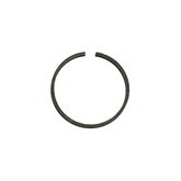 Seal Image 2