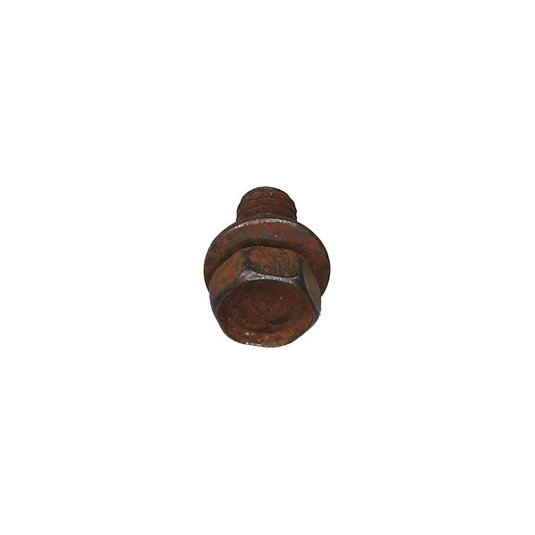 Bolt &amp; Flatwasher Assembly Image 2