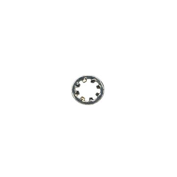 1/4 Shakeproof Washer INT