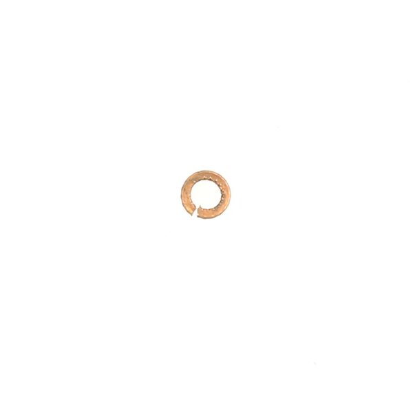 1/8" Spring Washer, Phos Bronze Image 1