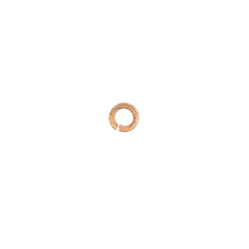1/8" Spring Washer, Phos Bronze