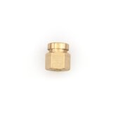 Brass Nut 5/16" Image 1
