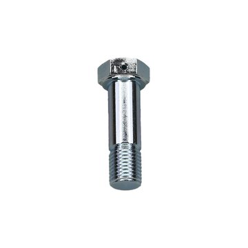 Bolt, Caliper to Mounting Plate