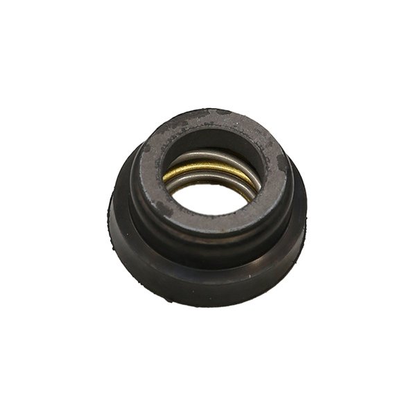 Morgan Seal, Water Pump Image 2