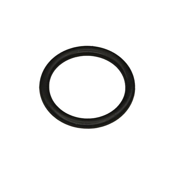 O Ring Image 1