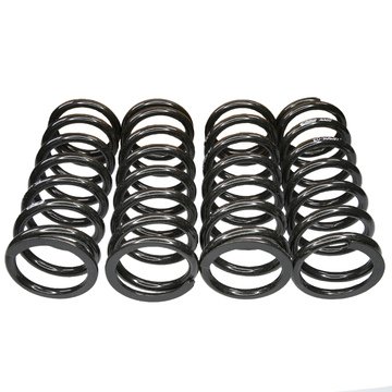 Rear Road Spring Kit