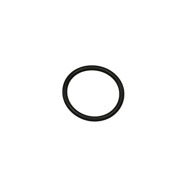O-Ring Image 1