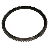 Ring, Starter Image 3
