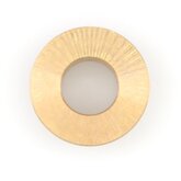 Thrust Ring Image 1