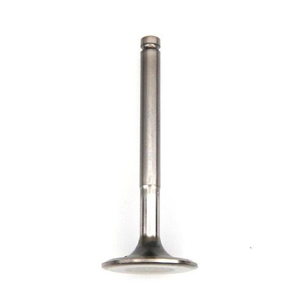 Inlet Valve Image 1