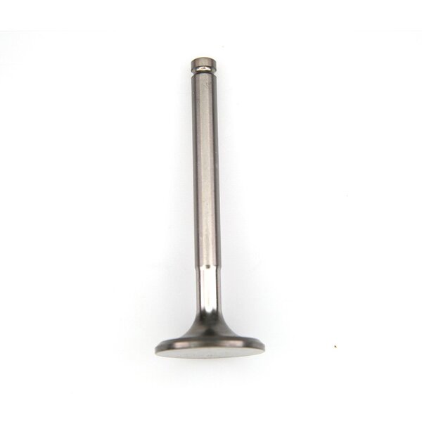 Exhaust Valve Image 2