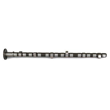 Camshaft Exhaust (DBA) Less Gear