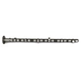 Camshaft Exhaust (DBA) Less Gear Image 1