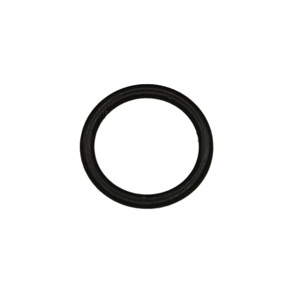 O-Ring Image 1