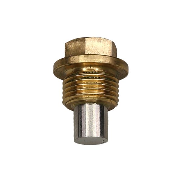 Plug 1/2 BSP Magnet Image 1