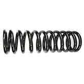 Road Spring-Rear Image 1