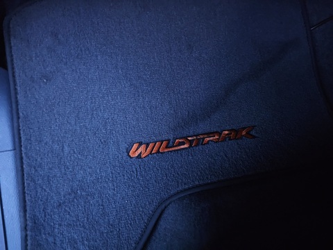 3.2 TDCi Wildtrak Pickup Double Cab 4dr Diesel Auto 4WD Euro 5 (200 ps)