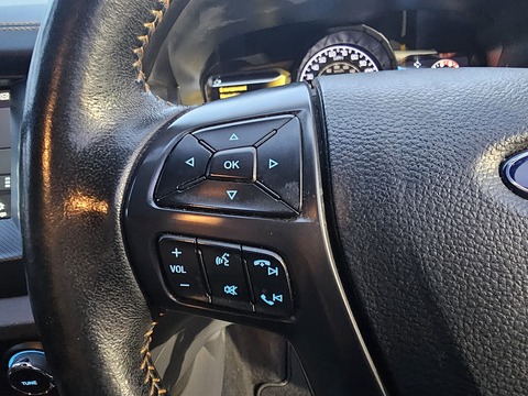 3.2 TDCi Wildtrak Pickup Double Cab 4dr Diesel Auto 4WD Euro 5 (200 ps)