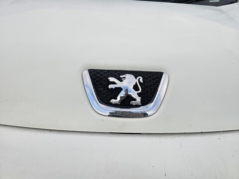 1.3 HDi Professional Panel Van 3dr Diesel Manual FWD L1 H1 (115 g/km, 80 bhp)