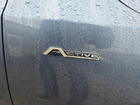 1.5 EcoBlue Active Estate 5dr Diesel Auto Euro 6 (s/s) (120 ps)