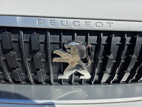 1.6 BlueHDi 1000 Professional Standard Panel Van 6dr Diesel Manual MWB Euro 6 (s/s) (115 ps)