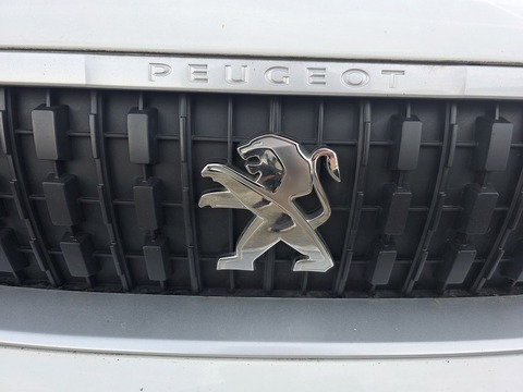 2.0 BlueHDi 1400 Professional Long Panel Van 6dr Diesel Manual LWB Euro 6 (s/s) (120 ps)