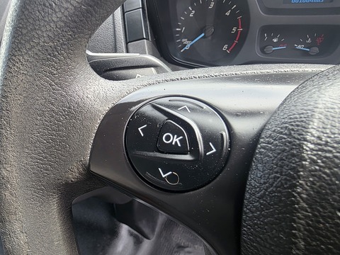 2.0 350 EcoBlue Panel Van 5dr Diesel Manual FWD L2 H3 Euro 6 (130 ps)