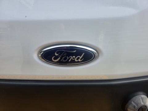 2.0 350 EcoBlue Panel Van 5dr Diesel Manual FWD L2 H3 Euro 6 (130 ps)