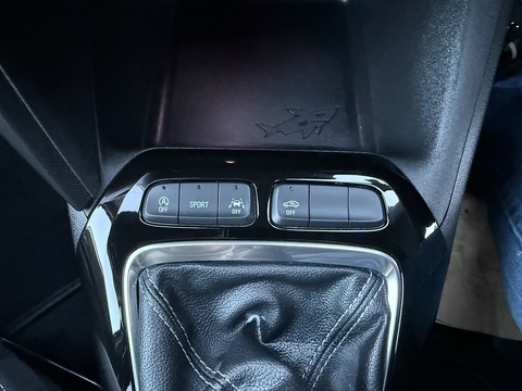 1.2 Turbo GS Hatchback 5dr Petrol Manual Euro 6 (s/s) (100 ps)