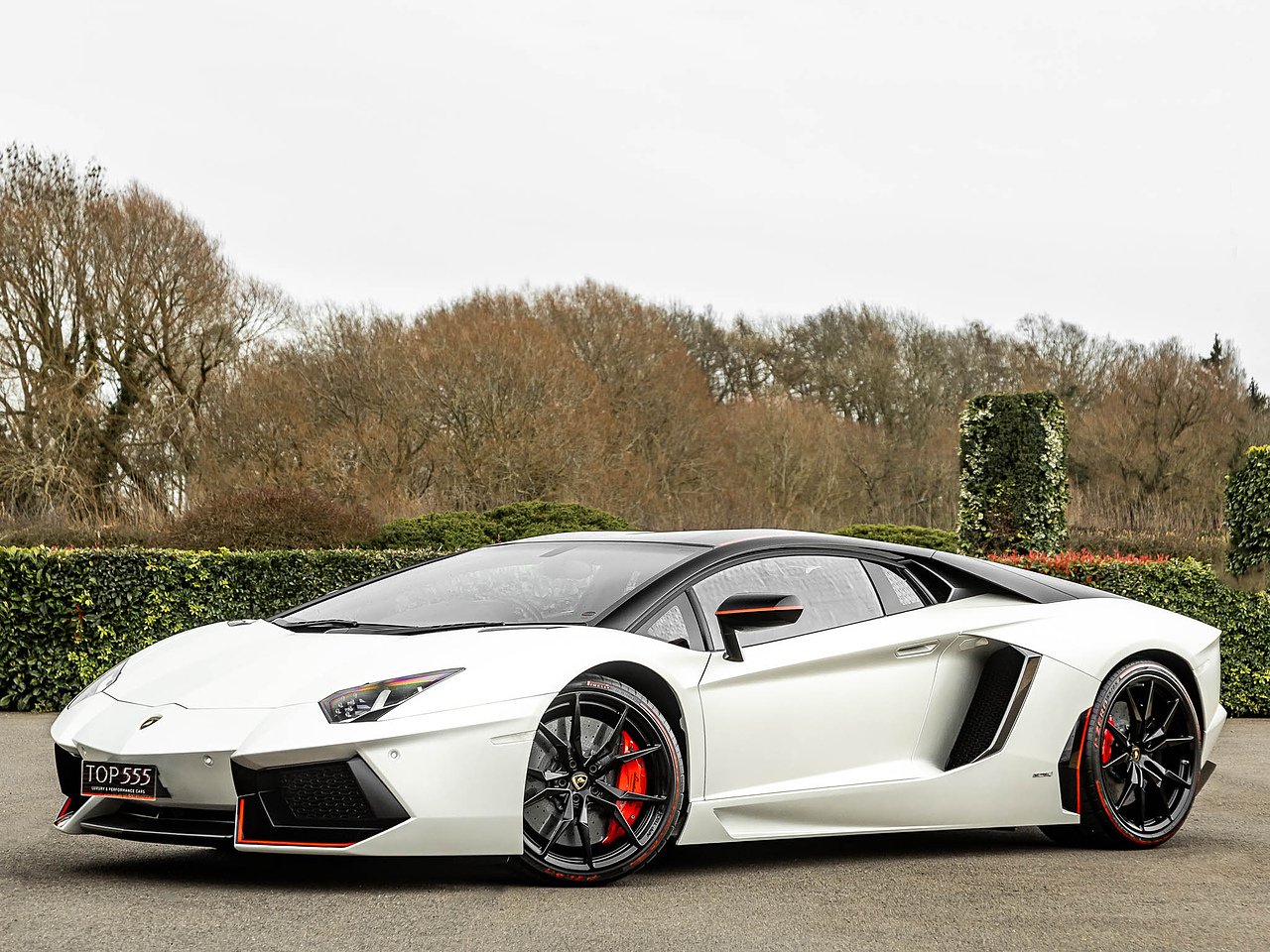 2015 Lamborghini Aventador LP700-4 Pirelli Edition 3