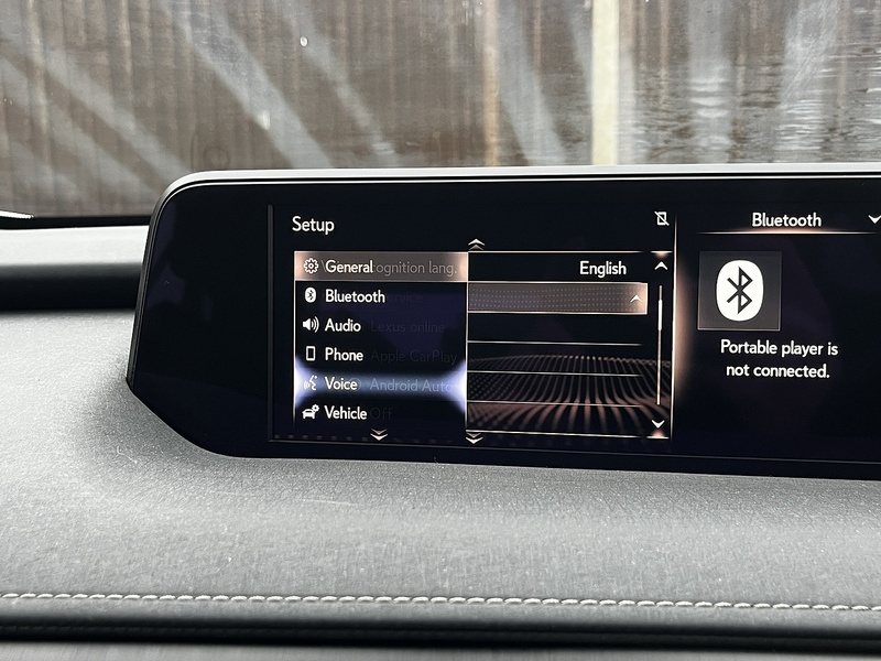 Lexus UX 300e - U187