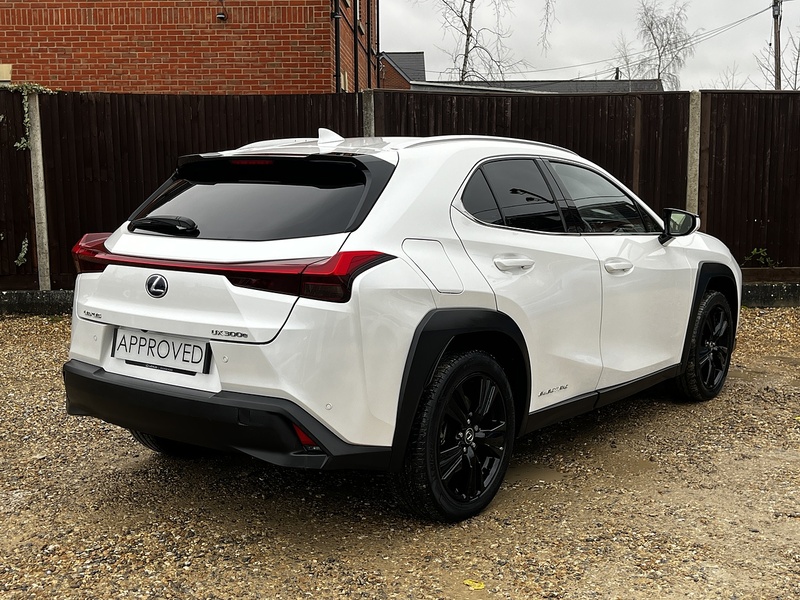 Lexus UX 300e - U187