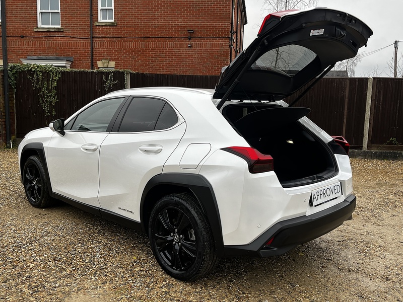 Lexus UX 300e - U187