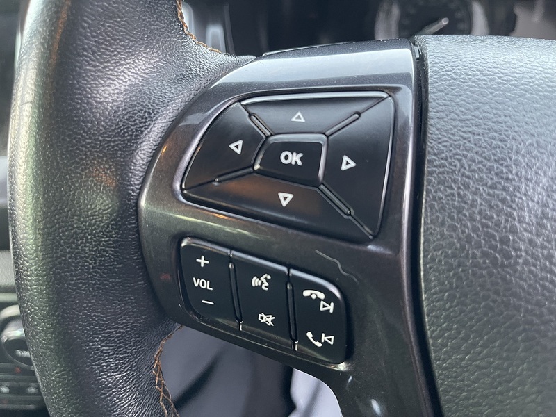 Ford Ranger 2.0 EcoBlue Wildtrak Auto 4WD Euro 6 (s/s) 4dr - U741