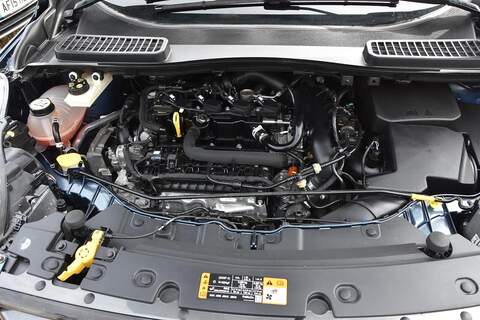 Ford Kuga 1.5T EcoBoost ST-Line Auto Euro 6 (s/s) 5dr - U1803