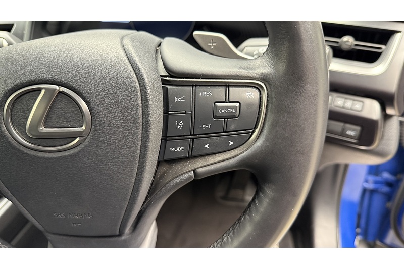 Lexus UX 300e Premium Plus - U1828