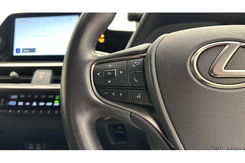 Lexus UX 300e Premium Plus - U1828